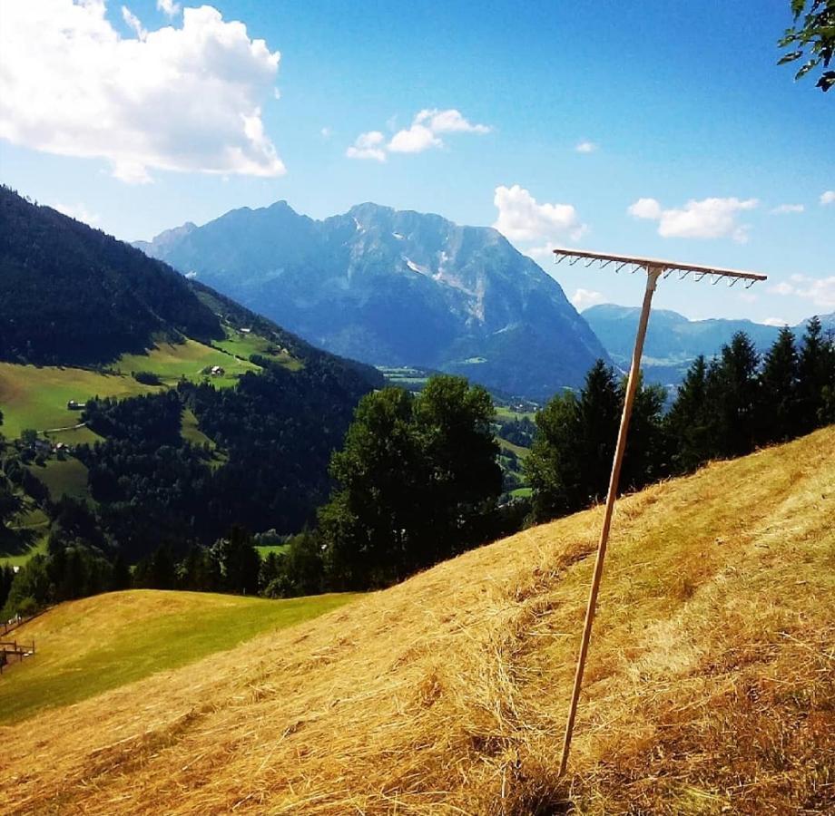 DonnersbachBergblick Hollnhof公寓 外观 照片