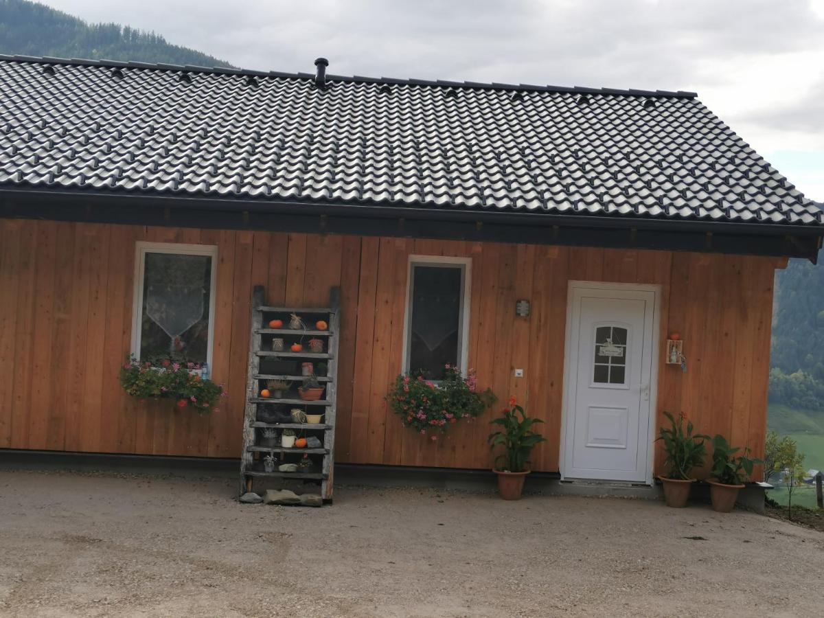 DonnersbachBergblick Hollnhof公寓 外观 照片